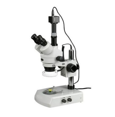 Look for the different types of microscopes!